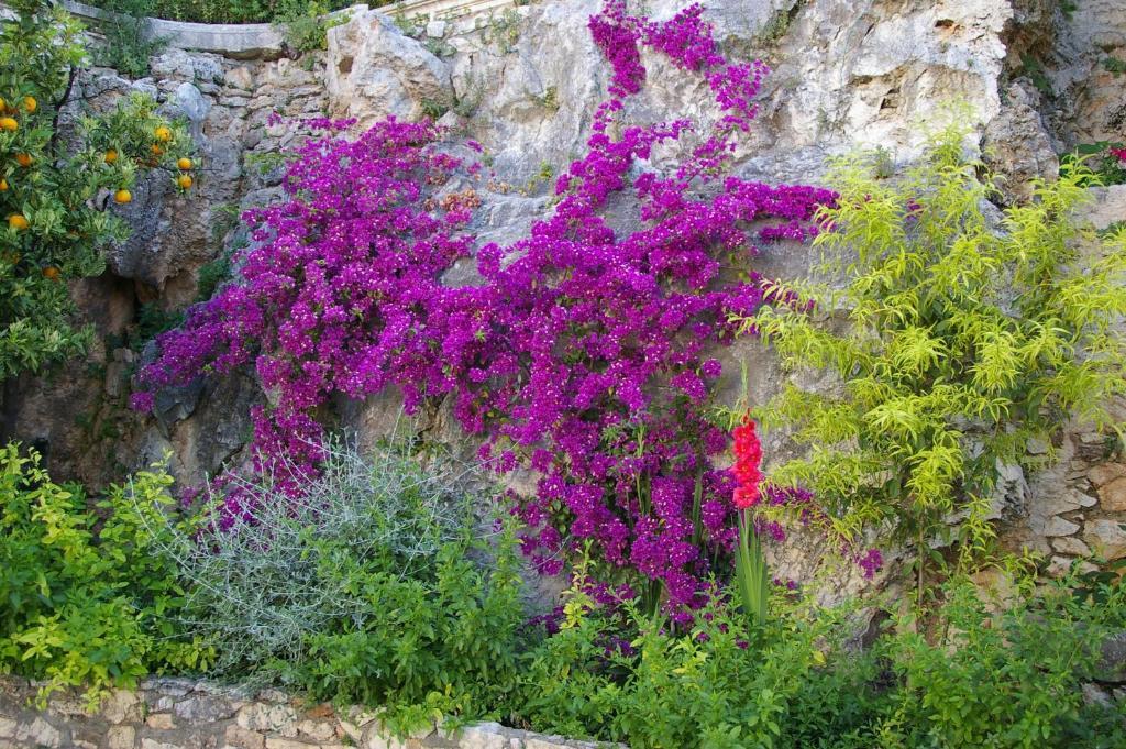 Hotel Villa Clodia Saturnia Bagian luar foto